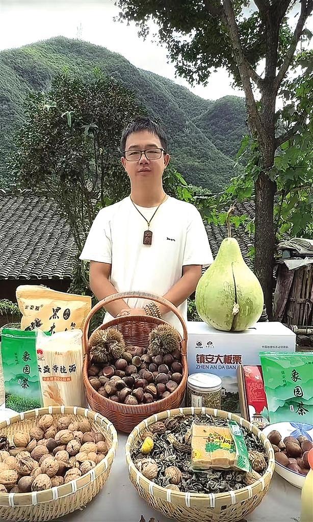 鎮安板栗借電商出圈