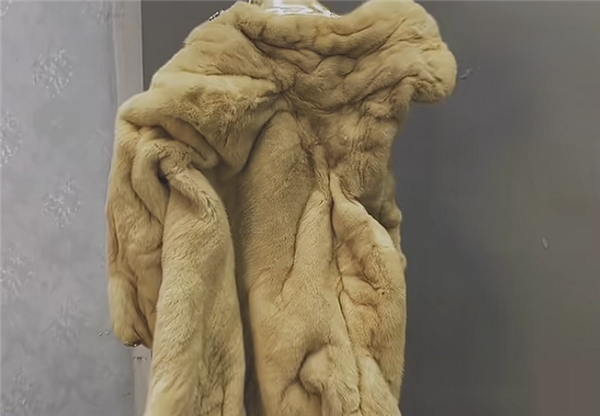 1888元的貂皮大衣被洗廢后買家退貨退款 商家驅車300公里討說法