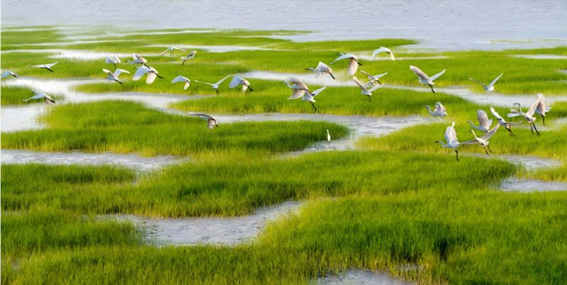 環境品質再上新臺階