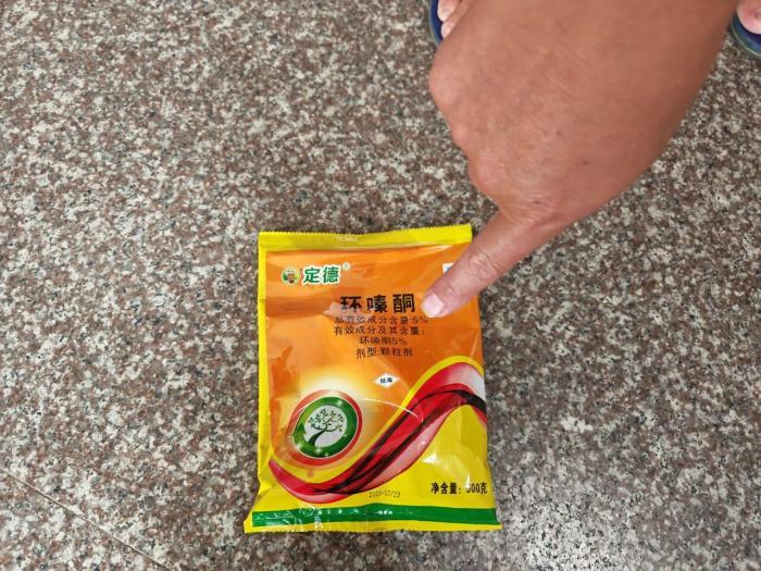 男子多次給220年珍貴古樹投毒 竟是這個原因