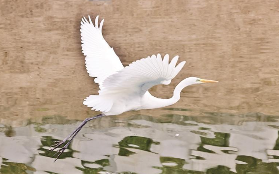 cYVTOsiiFny7iEQP.png image.png