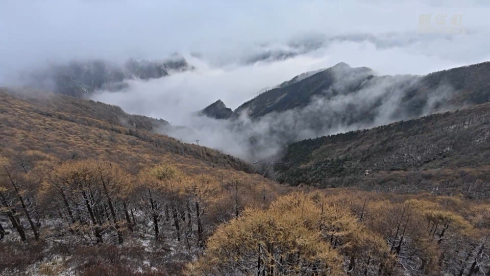 秦嶺主峰太白山迎來今秋首場降雪