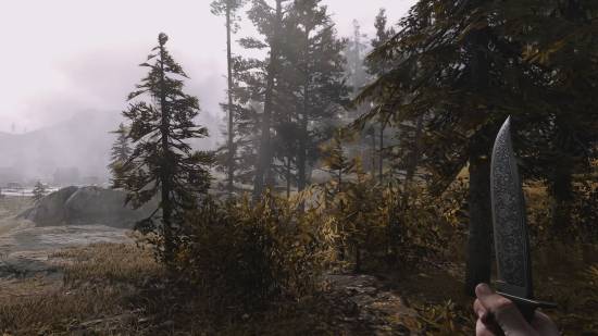 RTX5090下的《大鏢客2》美到離譜：8K畫質(zhì)接近現(xiàn)實(shí)