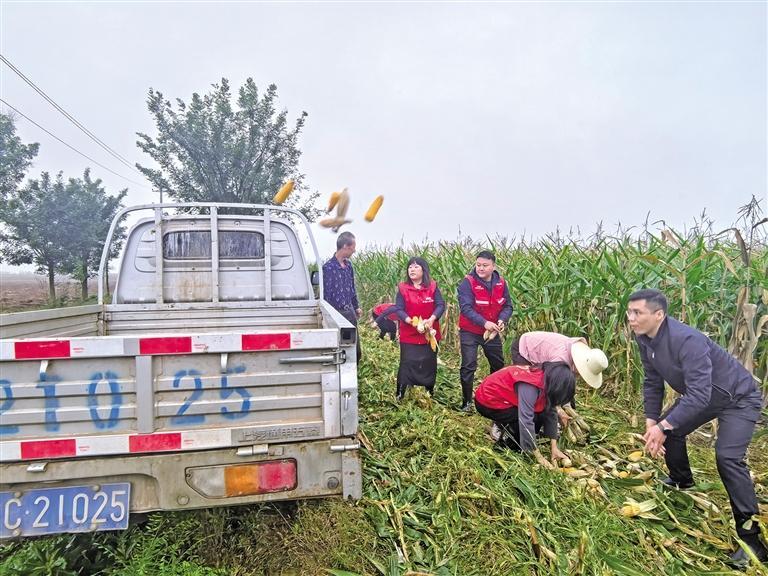 “把農(nóng)民的損失降到最低”