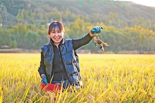 橫山區(qū)書寫“十四五”高質(zhì)量發(fā)展答卷